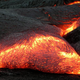 Image for article titled What Killed the Dinosaurs Was More Devastating Than an Asteroid